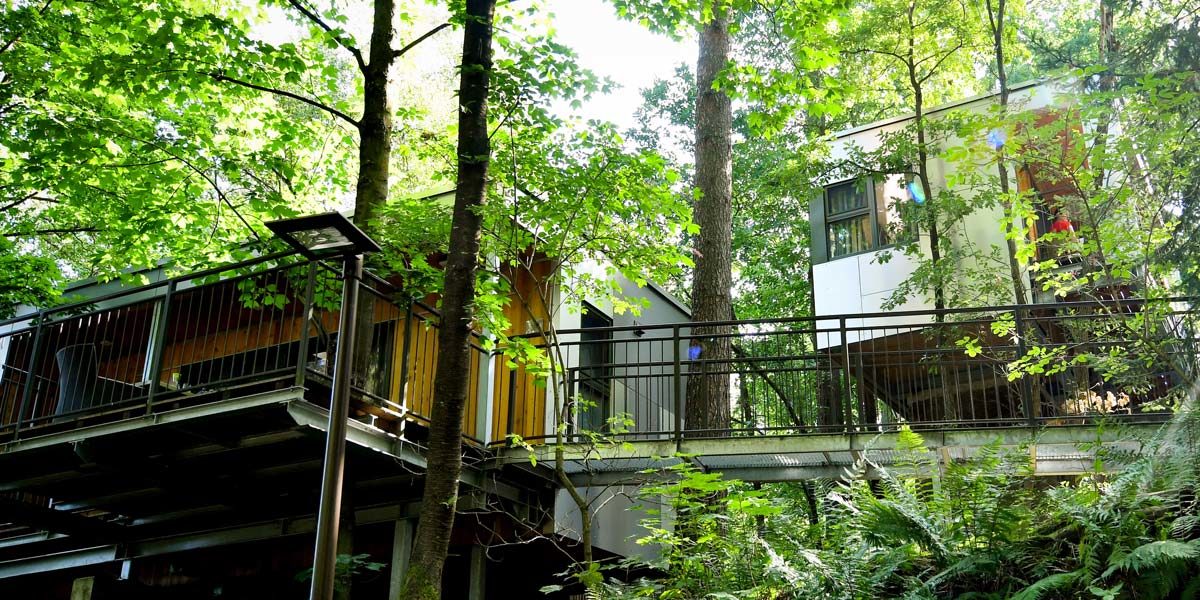 Baumhauslodge