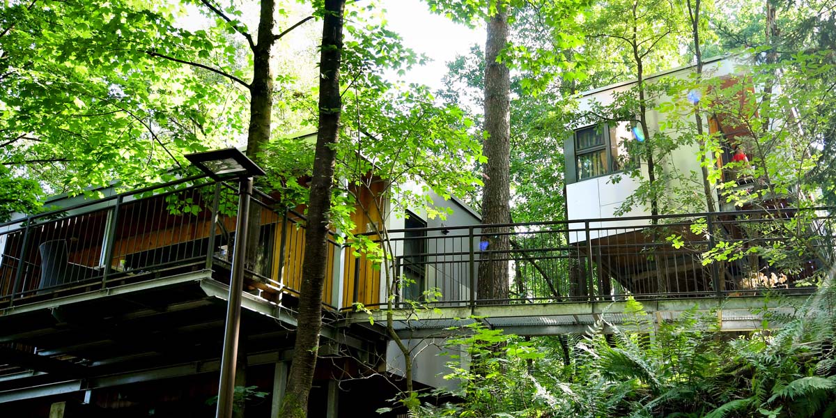 Baumhauslodge